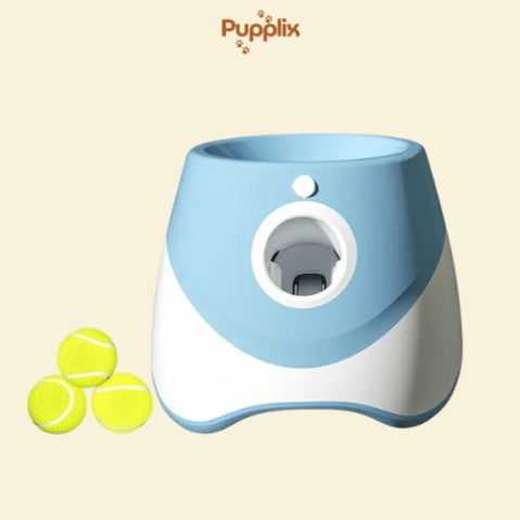 Keep Your Pets Happy (Automatic Ball Launcher)