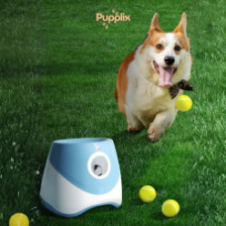 Keep Your Pets Happy (Automatic Ball Launcher)