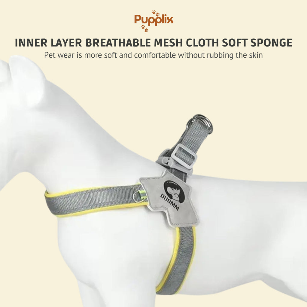 Pet Harness With LeashSet