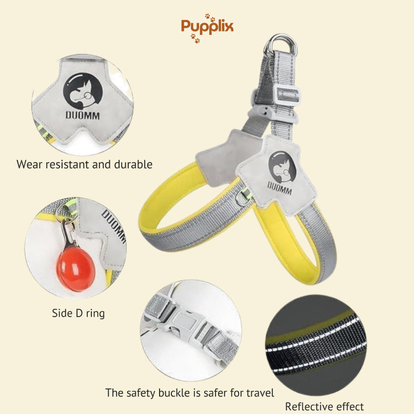 Pet Harness With LeashSet