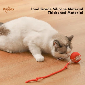 Smart Interactive Pet Play Ball