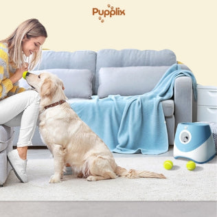 Keep Your Pets Happy (Automatic Ball Launcher)