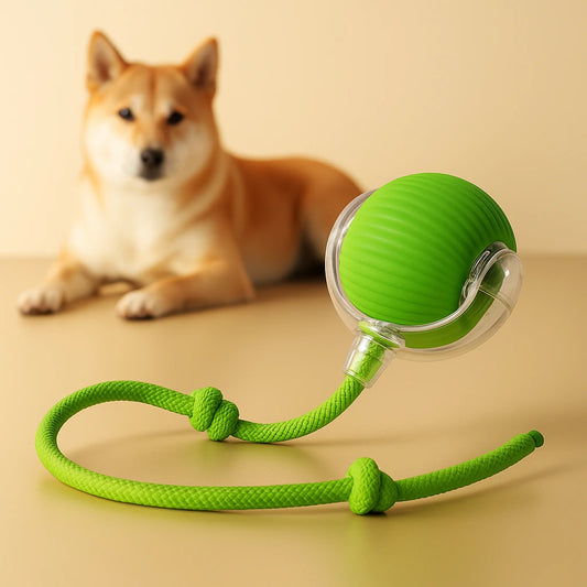 Smart Interactive Pet Play Ball