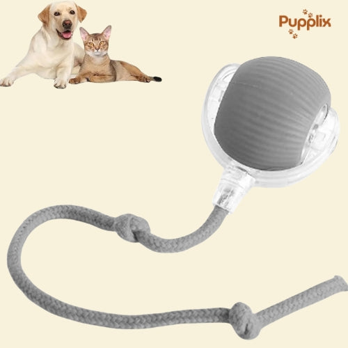 Smart Interactive Pet Play Ball
