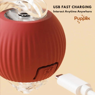 Smart Interactive Pet Play Ball