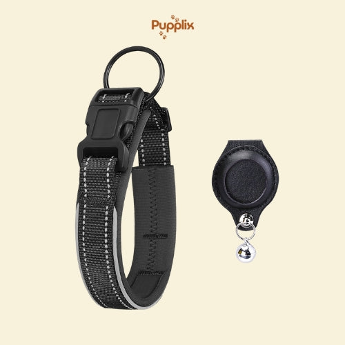 The Summer Essentials Bundle for Your Pet