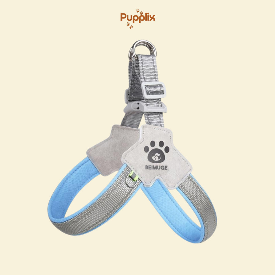 Pet Harness With LeashSet