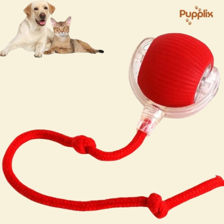 Smart Interactive Pet Play Ball