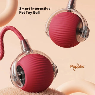 Smart Interactive Pet Play Ball