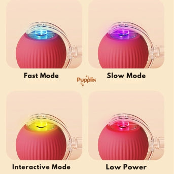 Smart Interactive Pet Play Ball