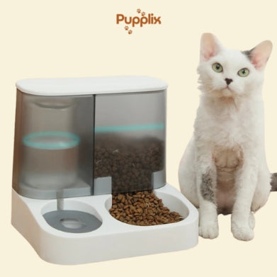 2-in-1 Pet Food & Water Dispenser