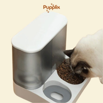 2-in-1 Pet Food & Water Dispenser