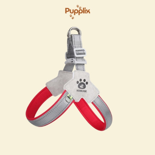 Pet Harness With LeashSet
