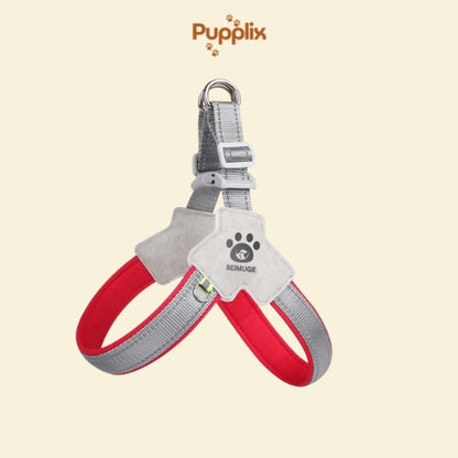 Pet Harness With LeashSet