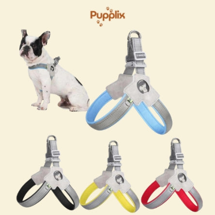 Pet Harness With LeashSet