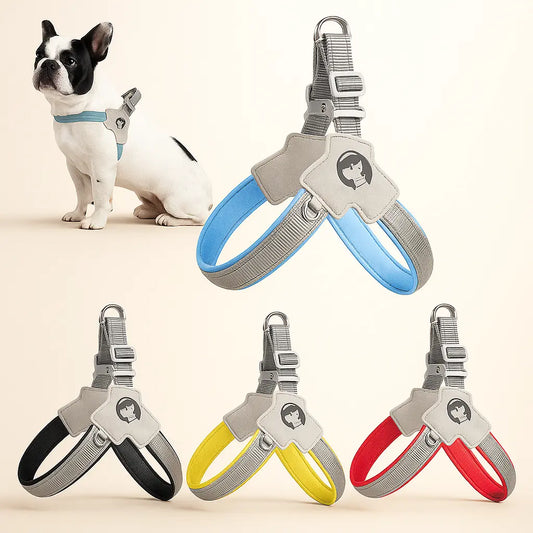 Pet Harness With LeashSet