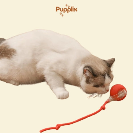 Smart Interactive Pet Play Ball