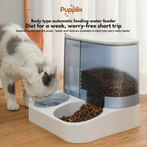 2-in-1 Pet Food & Water Dispenser