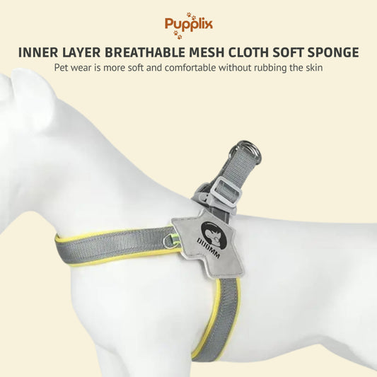 Pet Harness With LeashSet