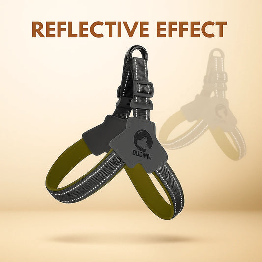 Pet Harness With LeashSet