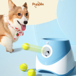 Keep Your Pets Happy (Automatic Ball Launcher)