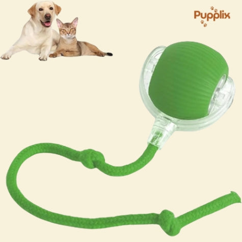 Smart Interactive Pet Play Ball