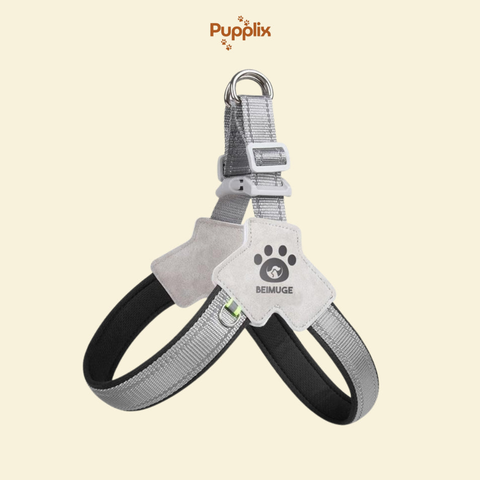 Pet Harness With LeashSet