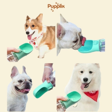 The On-the-Go Pet Water Bottle