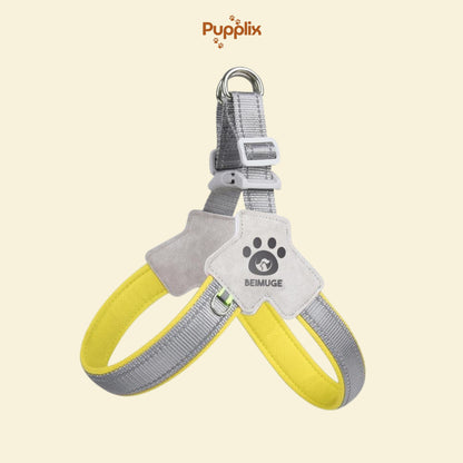 Pet Harness With LeashSet